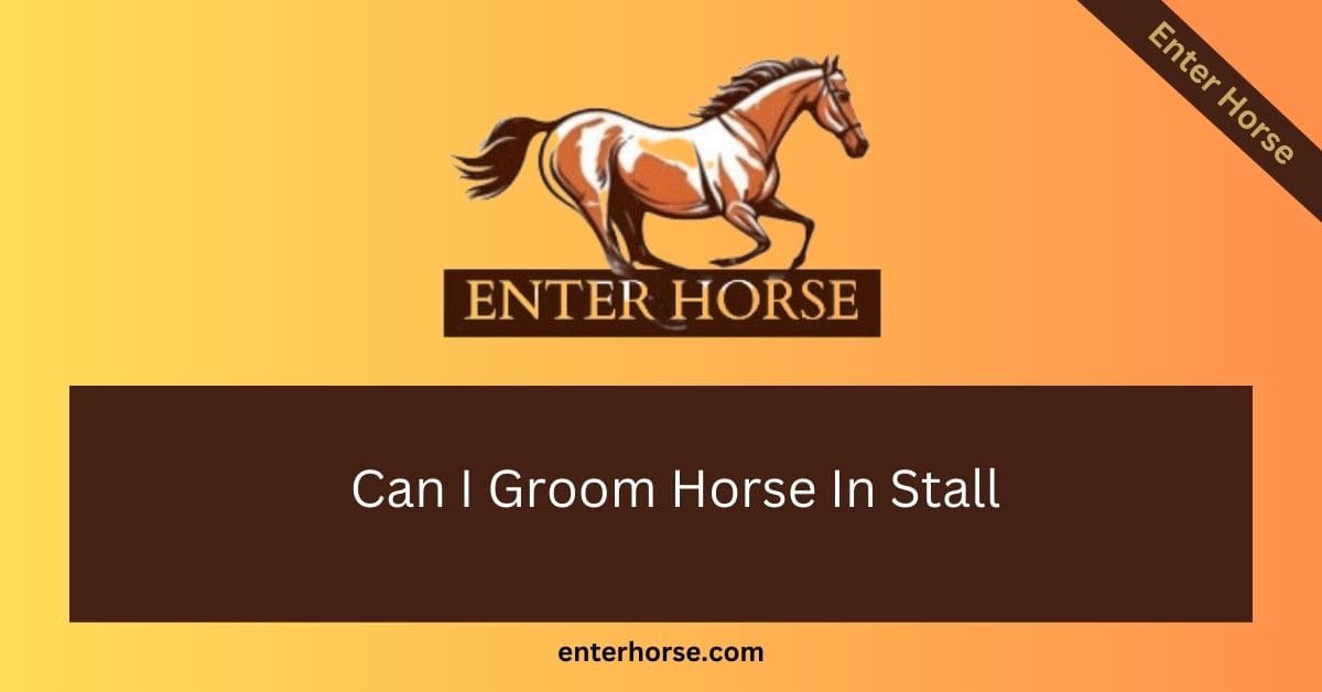 Can I Groom Horse In Stall