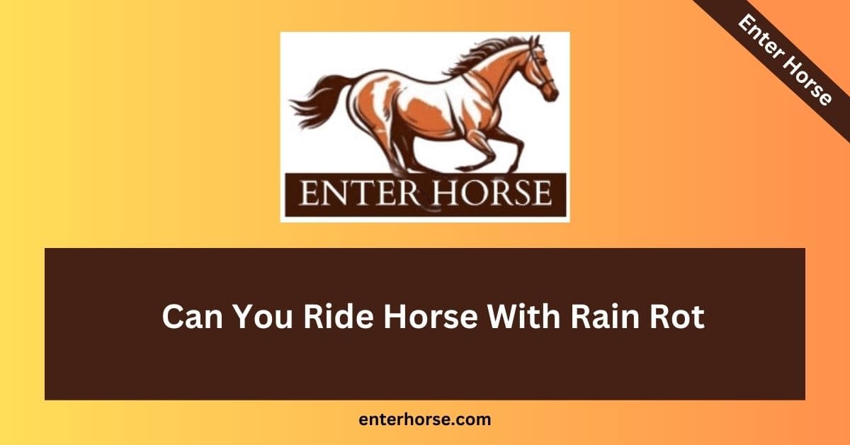 Can You Ride Horse With Rain Rot