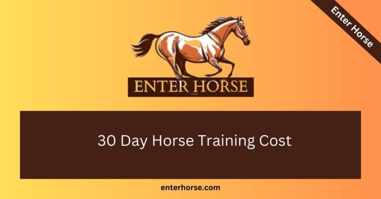 30 Day Horse Training Cost