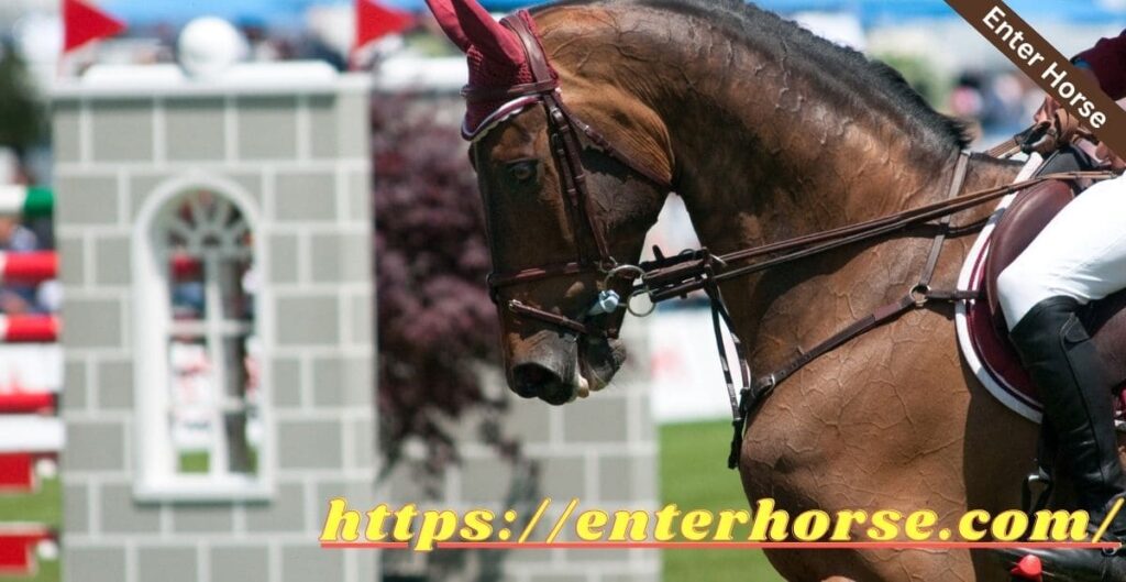 Gymkhana Horse Events