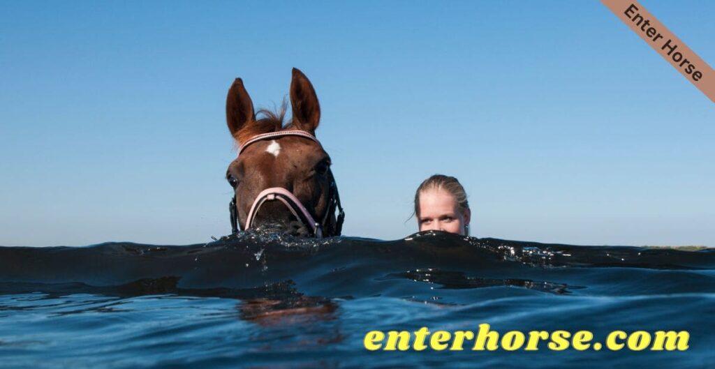 Can Horses Swim Float Or Sink