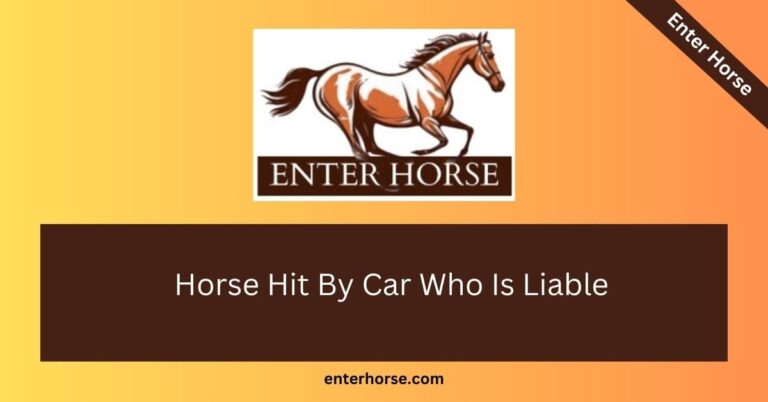 Horse Hit by Car : Determining Liability in Accidents