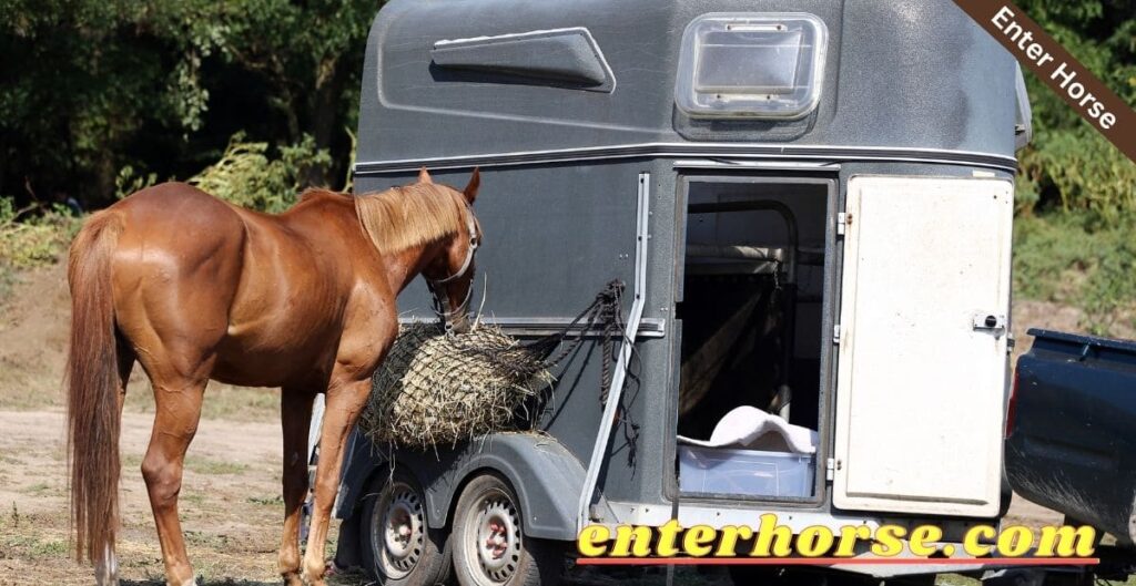 Horse Adventures with Car and Trailer