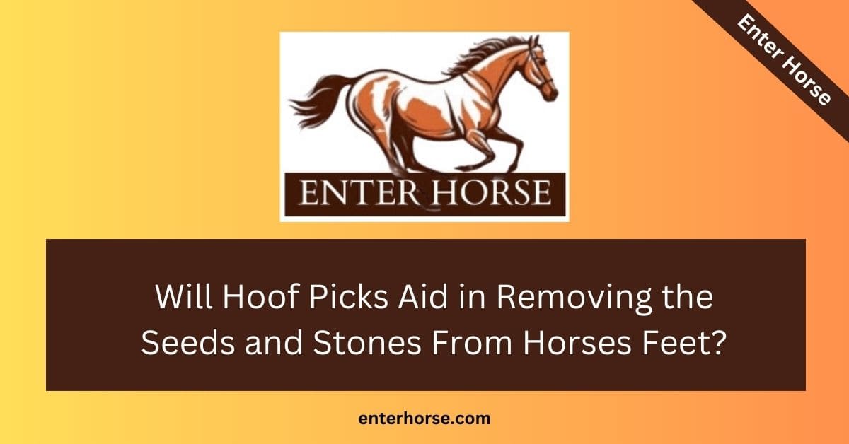 Hoof Picks Aid in Removing the Seeds and Stones From Horses