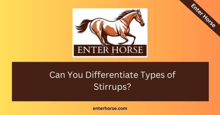 Can You Differentiate Types of Stirrups? A Comprehensive Guide